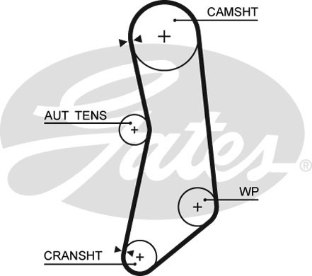 Ремень ГРМ Fiat 1.2-1.4 01-/Ford  1.2 02-/Lanci 1.2-1.4 03- (129x22)